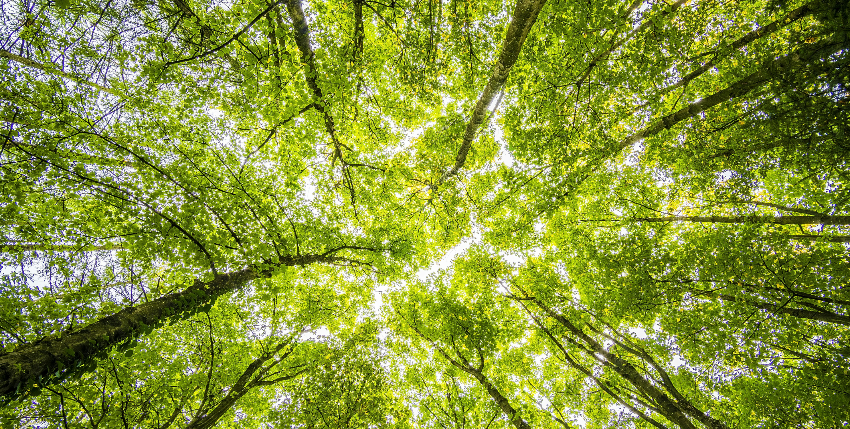 Bioengineering and the Planet: A Microbial Earth Day Perspective
