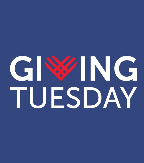 Citizenship and Giving Tuesday at ZBiotics