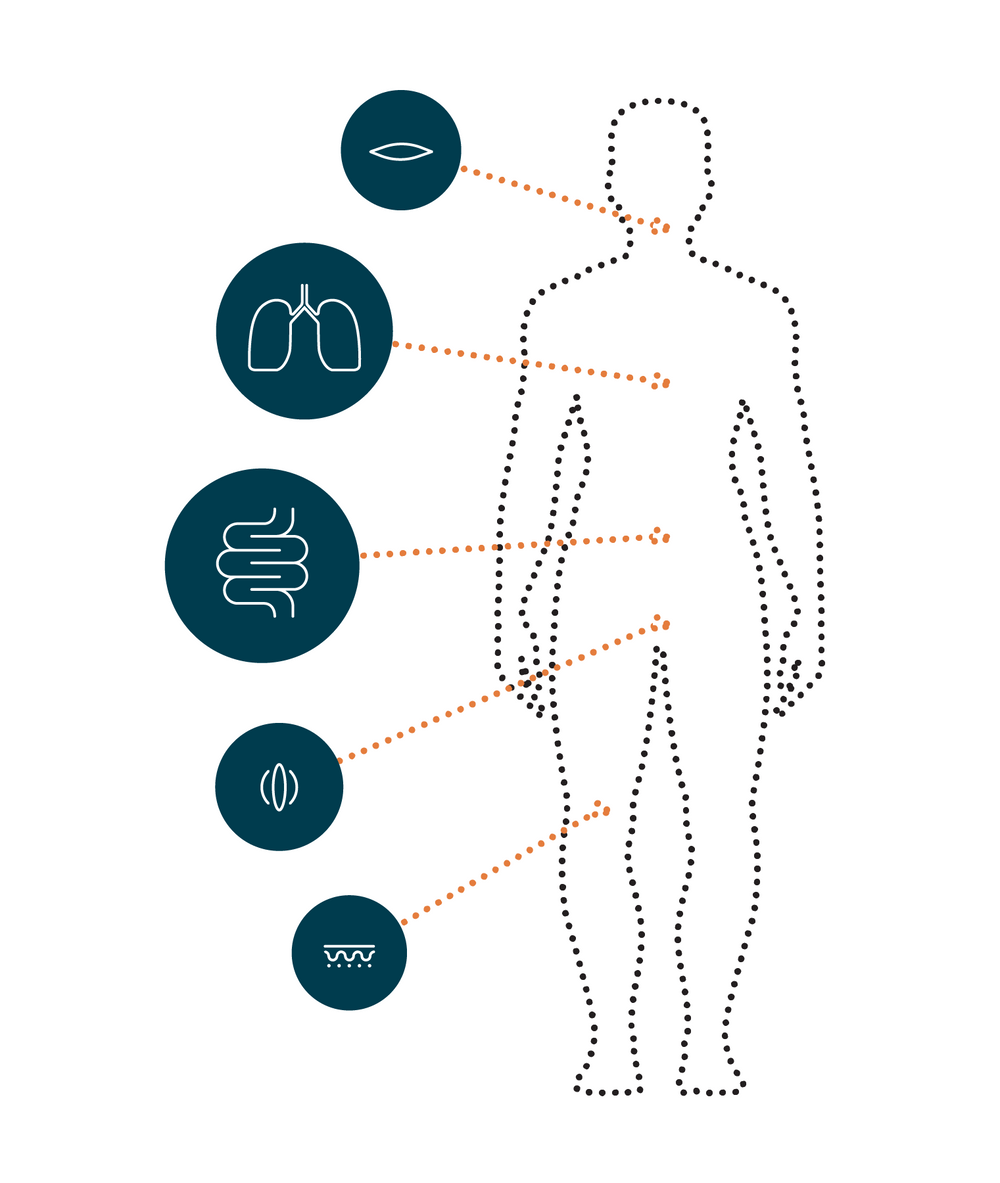 How to Maintain a Healthy Microbiome